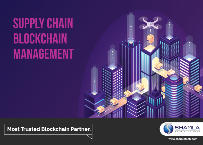 blockchain supply chain solutions